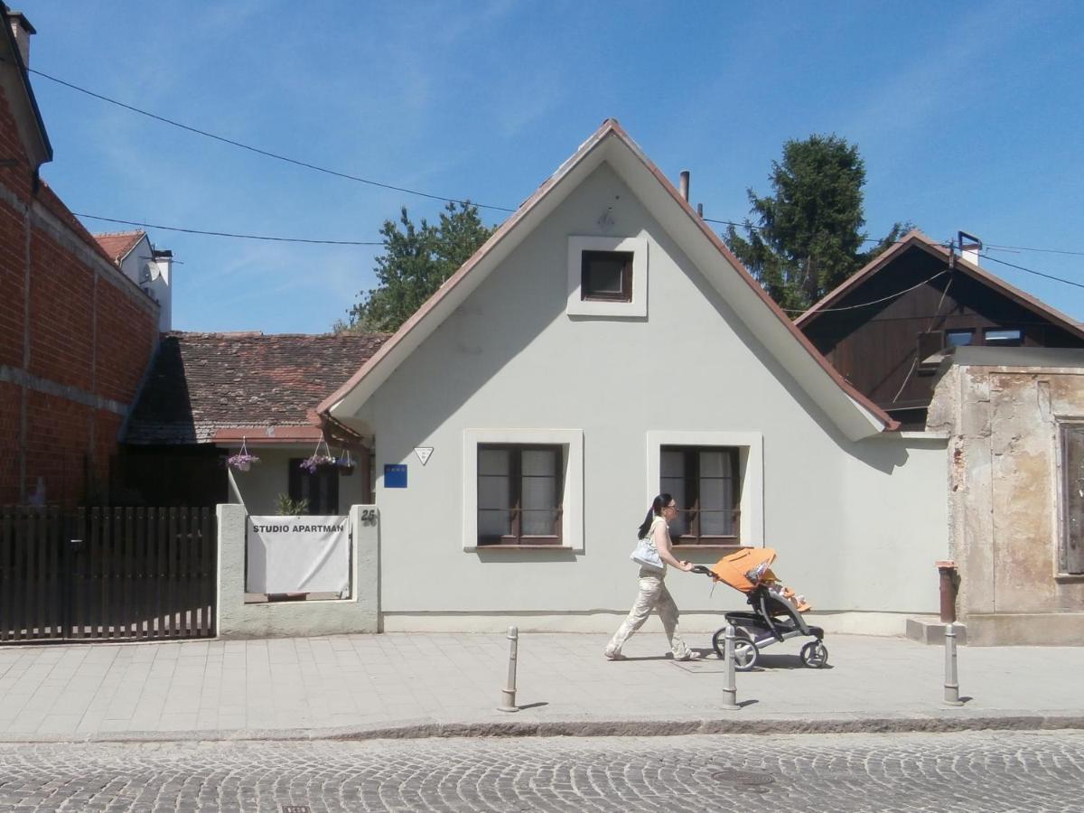 Apartments With A Parking Space Samobor, Prigorje - 12869 Εξωτερικό φωτογραφία
