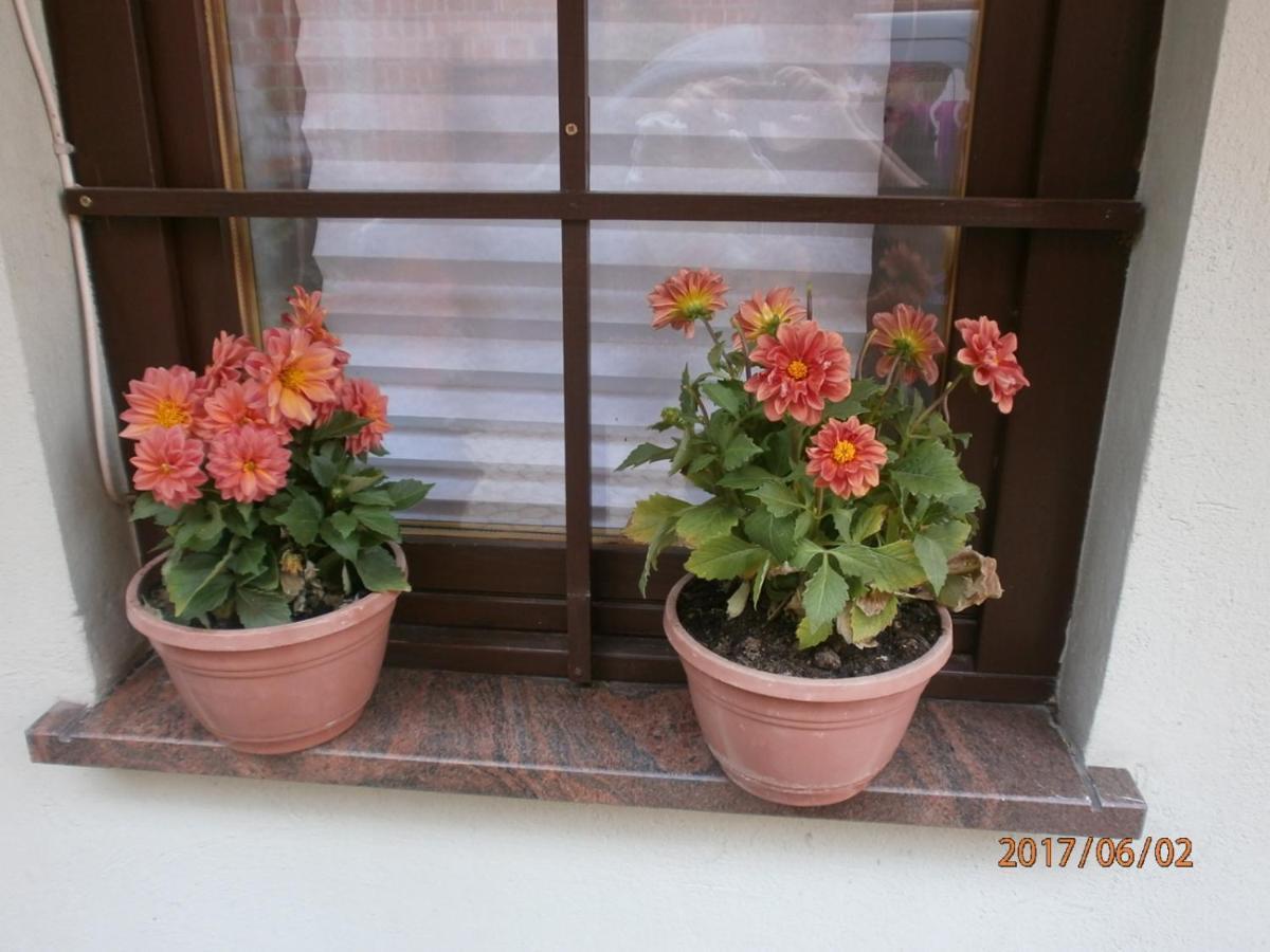 Apartments With A Parking Space Samobor, Prigorje - 12869 Εξωτερικό φωτογραφία